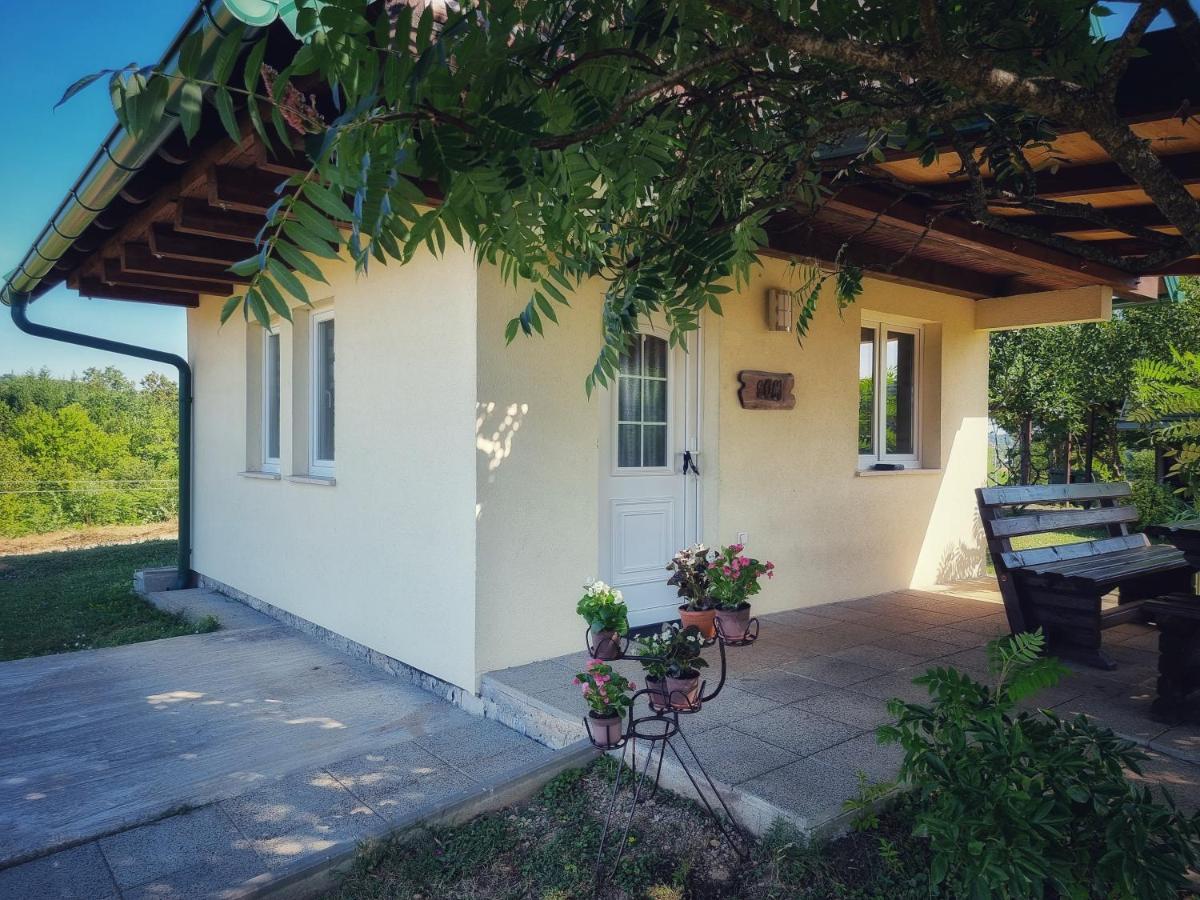 Guesthouse Mreznica- Mreznicka Idila Resort Galovic-Selo Eksteriør billede